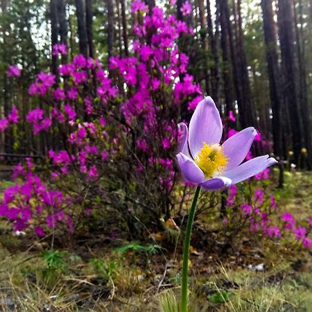 Kemping Cvetok Pod Snegom Хужир Экстерьер фото